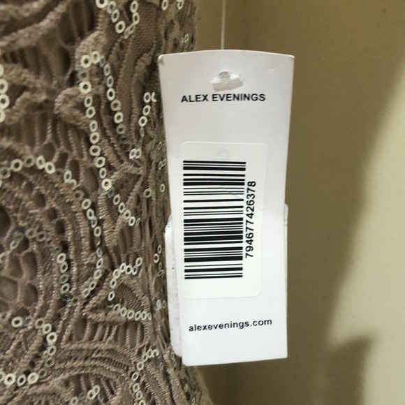 NWT Alex Evenings Gown Formal Maxi Dress Size 8 Beige Paisley Lace Sequins - Picture 4 of 11